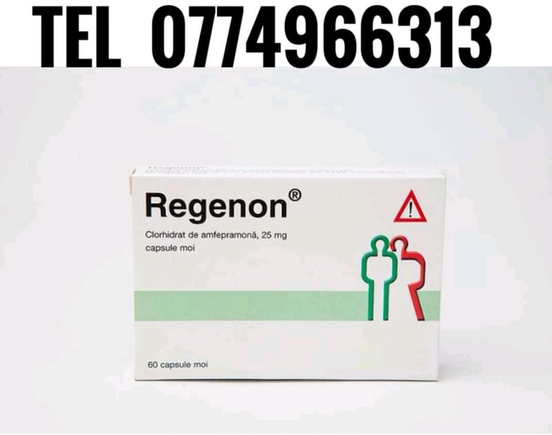 Regenon 25mg, 60 comprimate, Temmler Pharma - monclaubuilding.ro